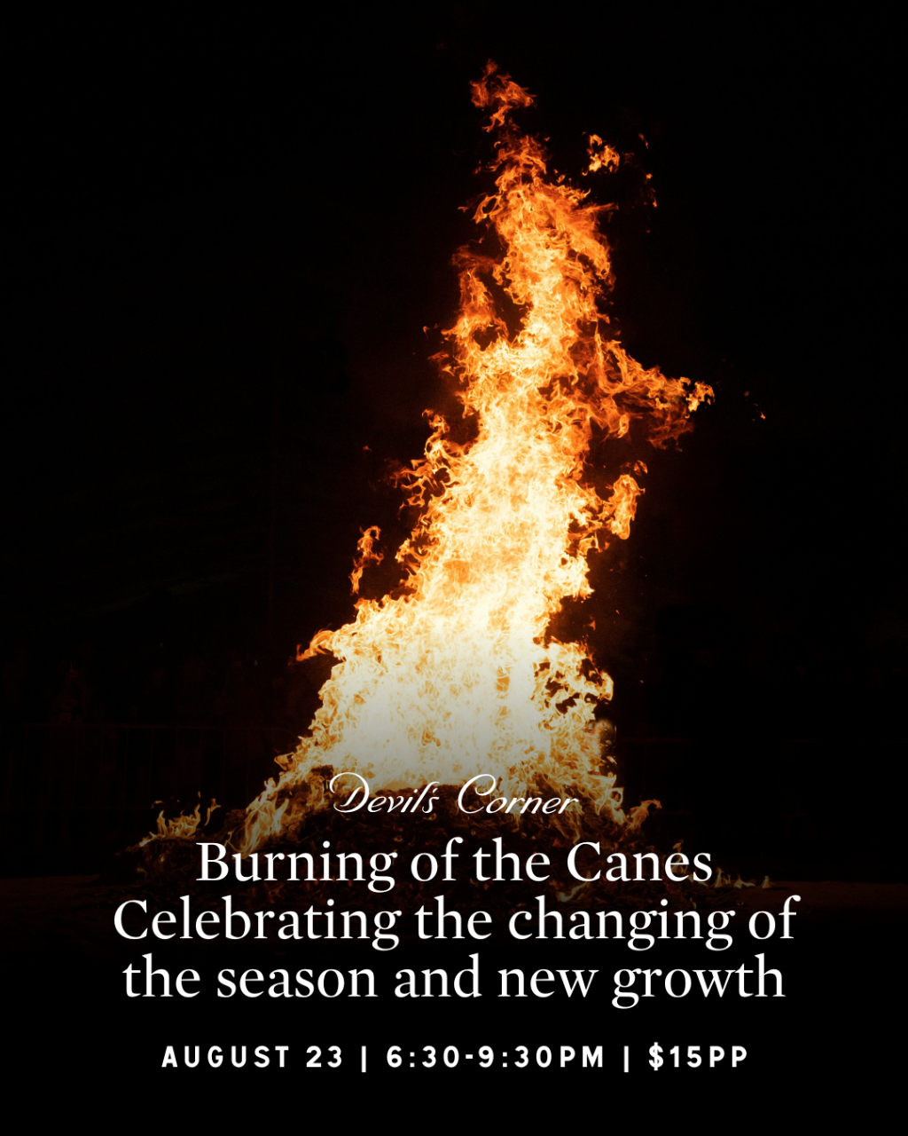  Burning of The Canes