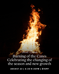  Burning of The Canes