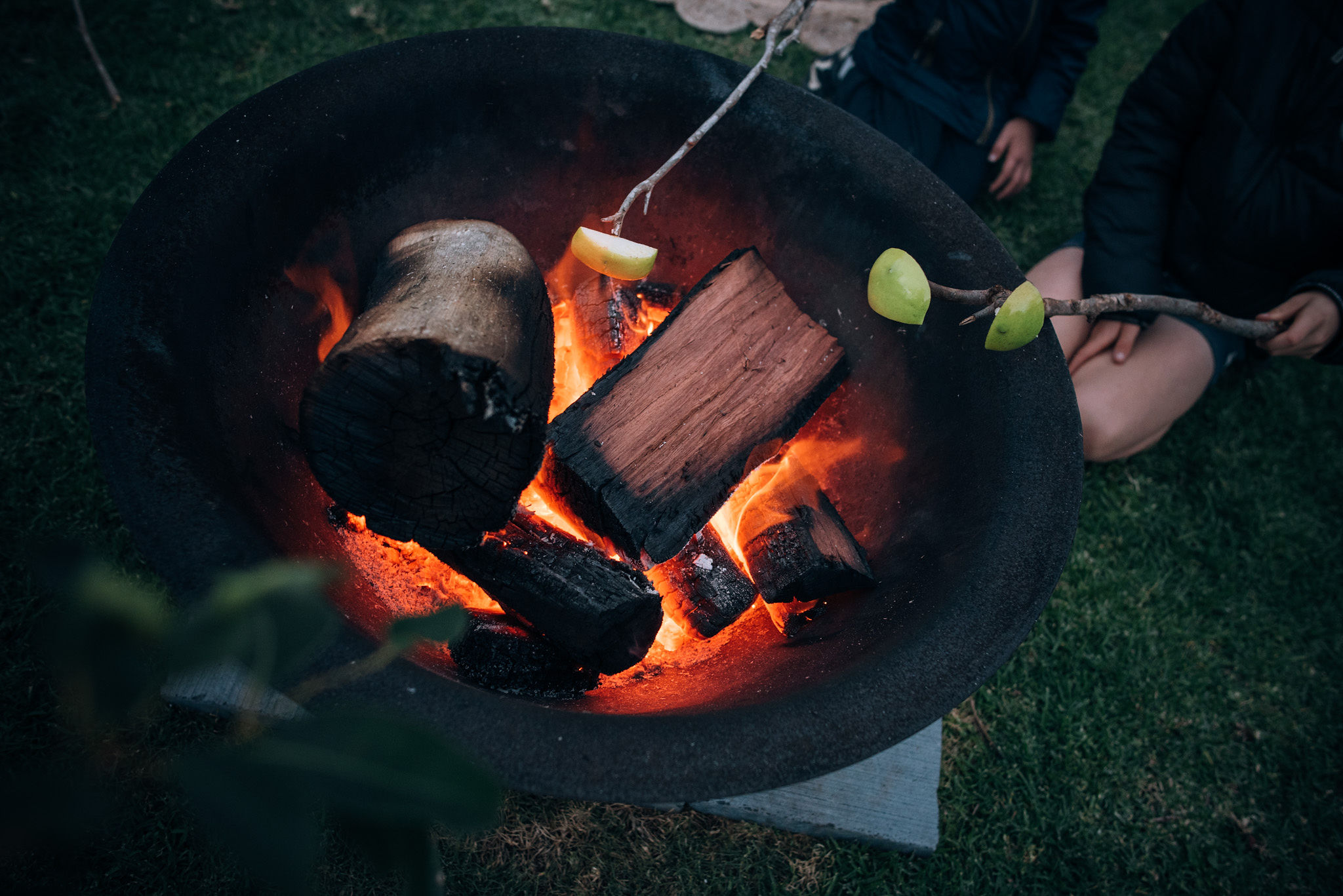 Picnic for Two | Vegetarian/Vegan