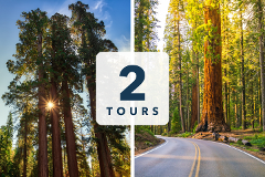 Sequoia & Kings Canyon – Self-Guided National Park Tour Bundle
