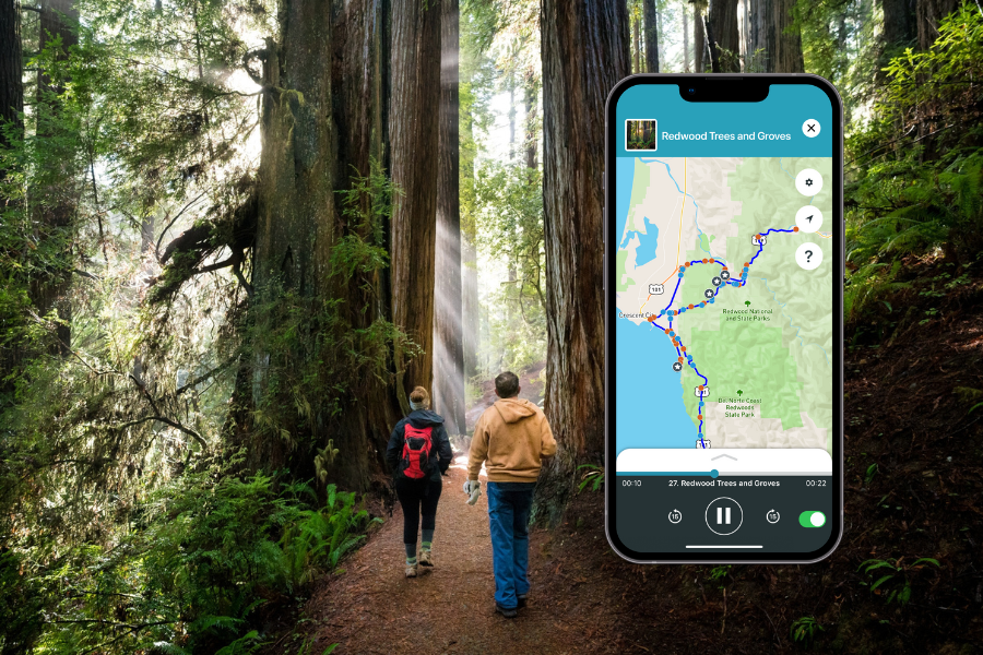 Shaka Guide Redwoods National Park Audio Tour