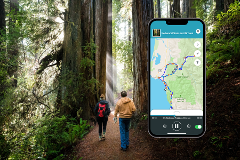 Shaka Guide Redwoods National Park Audio Tour