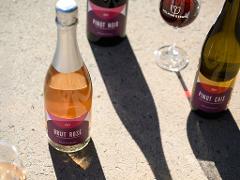 Estate Wine Tasting by Colmar Estate