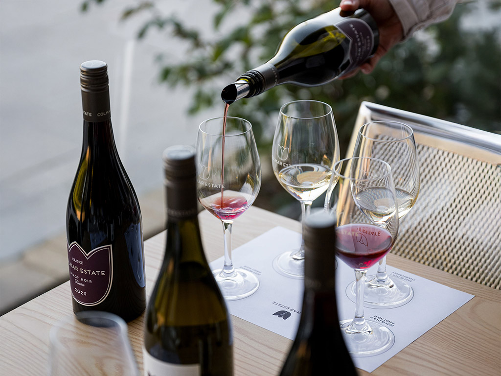 Premium Wine Tasting by Colmar Estate