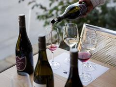 Premium Wine Tasting by Colmar Estate