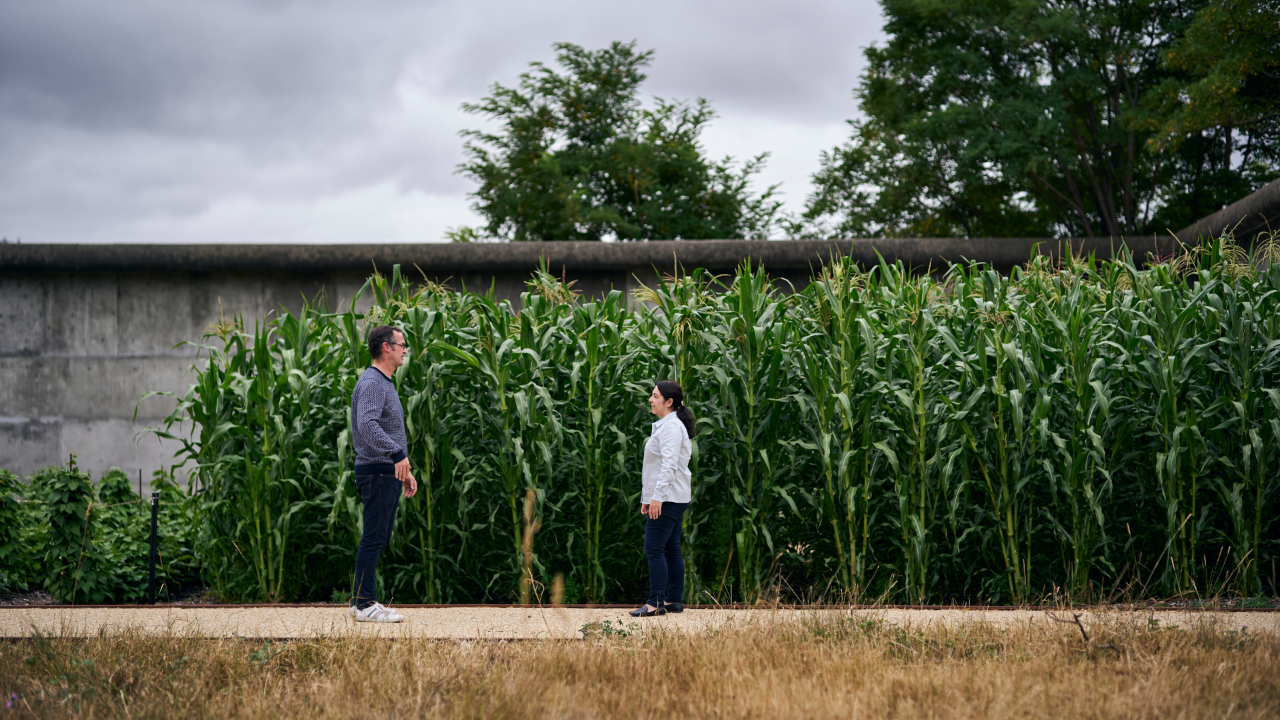 Tasmanian Food Lovers and Aspiring Chefs Dream Weekend - Indulgent