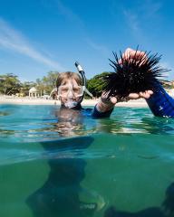 SOLD OUT! Spring-FRIDAYS ONLY-Become a Marine Biologist for a Day-School Holiday Program | Chowder Bay