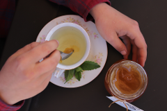 Australia's First Farm-to-Cup Tea Experience