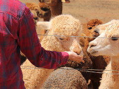 General Farm Admission/Entry
