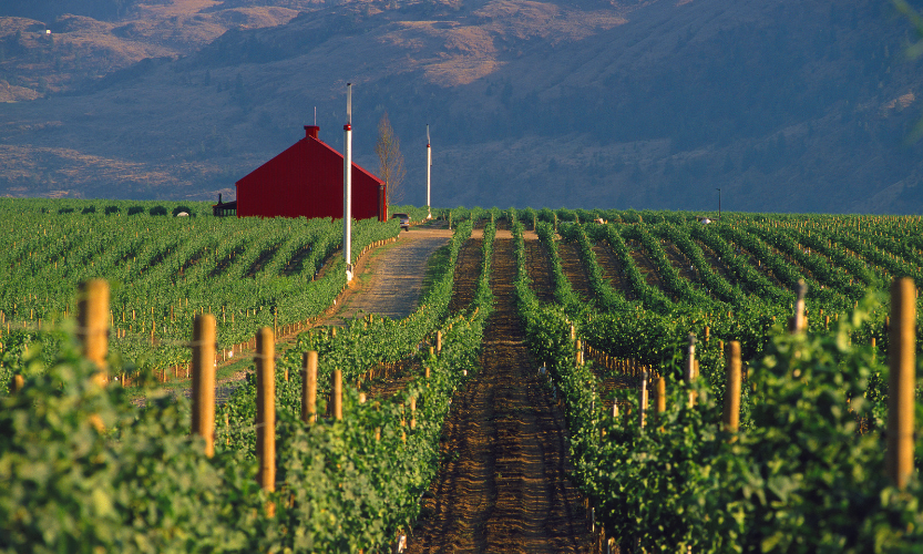 8-Day Essential Rockies & West Coast Eastbound Tour from Vancouver to Calgary: Whistler, Okanagan, Kelowna, Revelstoke, Canmore and Banff**Admission Tickets Included**