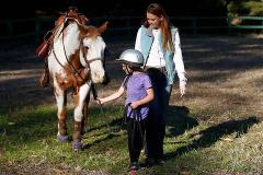 Leasing and Horse Ownership Class 