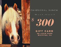 $300 Gift Card - Milpitas