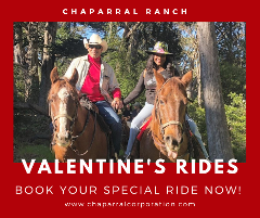 Valentine’s Semi-Private Western Riding Lessons