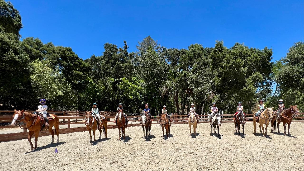 Horseback Riding Birthday Bash - 30 min lesson 