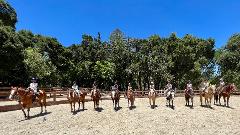 Horseback Riding Birthday Bash - 30 min lesson 