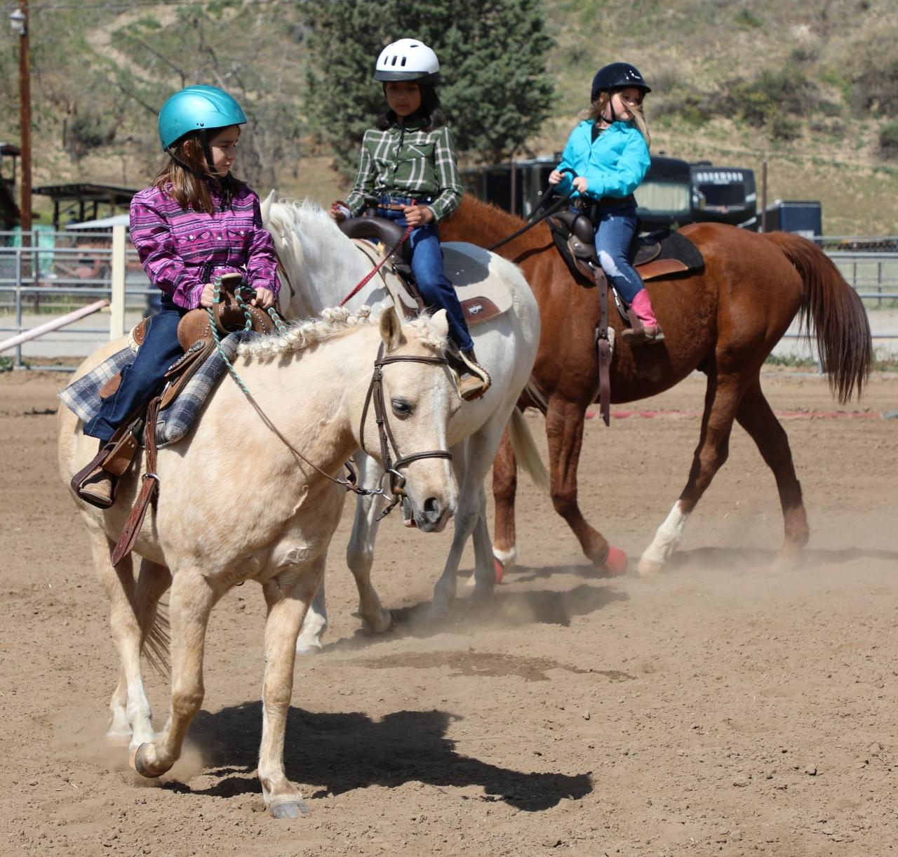 30 Minute Beginner Western Lesson