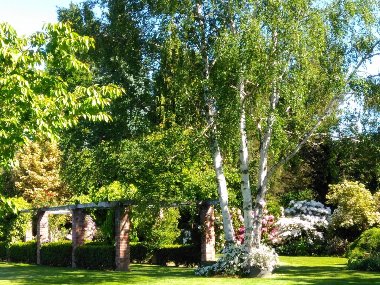 Large Established Garden Tour