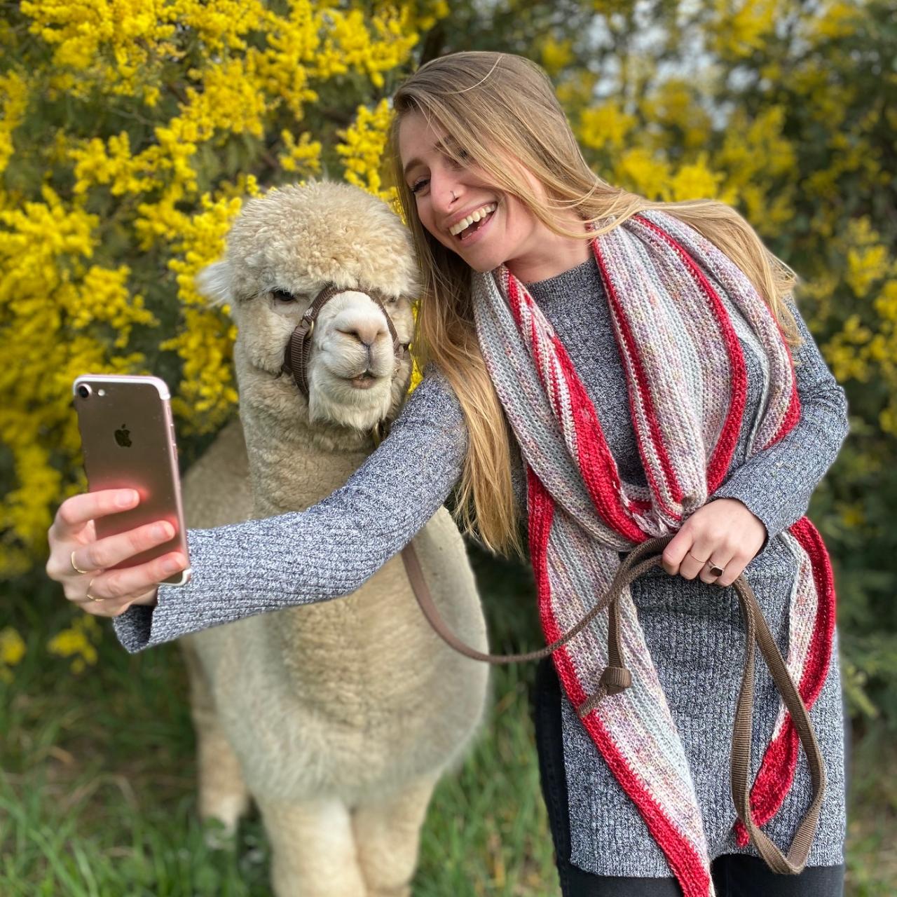 Alpaca & Llama Interactive Tour