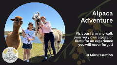 Alpaca Adventure