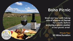 Boho Picnic