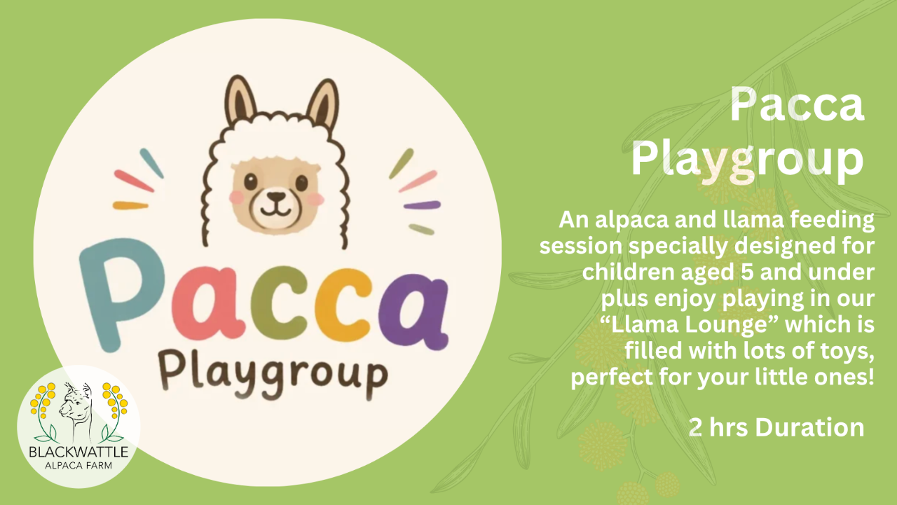 Pacca Playgroup