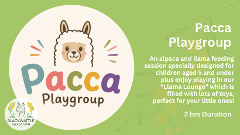 Pacca Playgroup