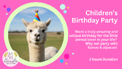Children's Birthday Party 