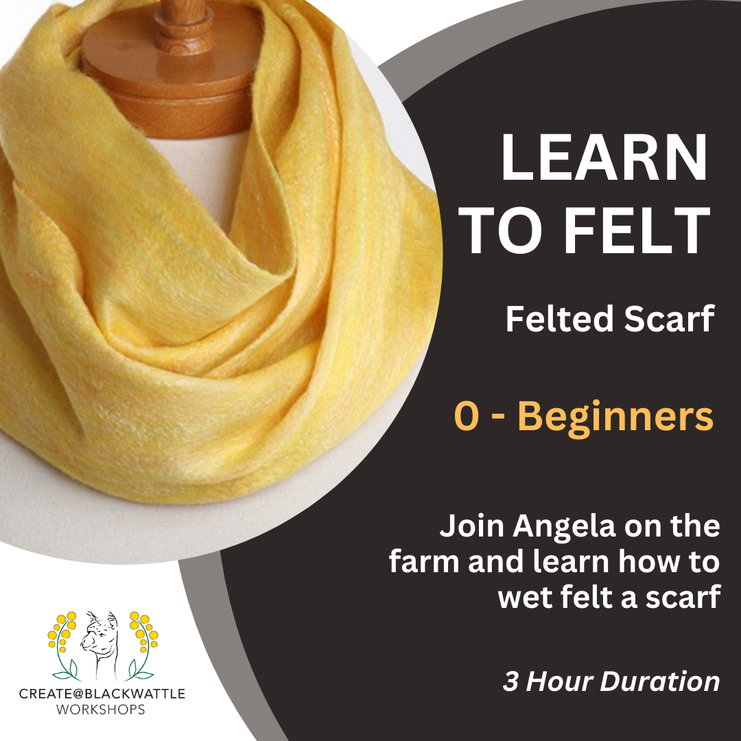 LEARN TO FELT - Nuno Felted Scarf