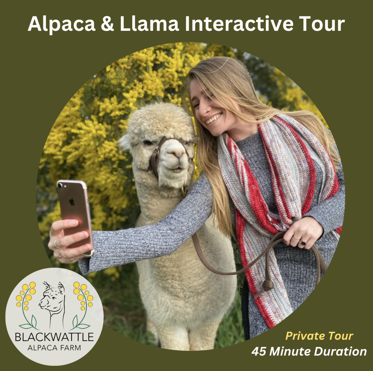 Alpaca & Llama Interactive Tour