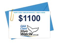 $1100 Whale Watching Charter Gift Card