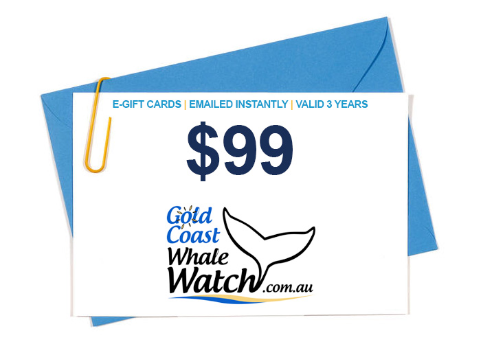 $99 Whale Watching Gift Card