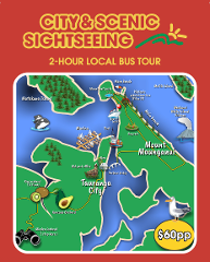 City & Scenic Sightseeing Local 2-hour Bus Tour