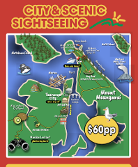 City & Scenic Sightseeing Local 2-hour Bus Tour