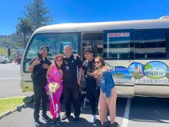 Tauranga City & Scenic Local Tour - 2 hours