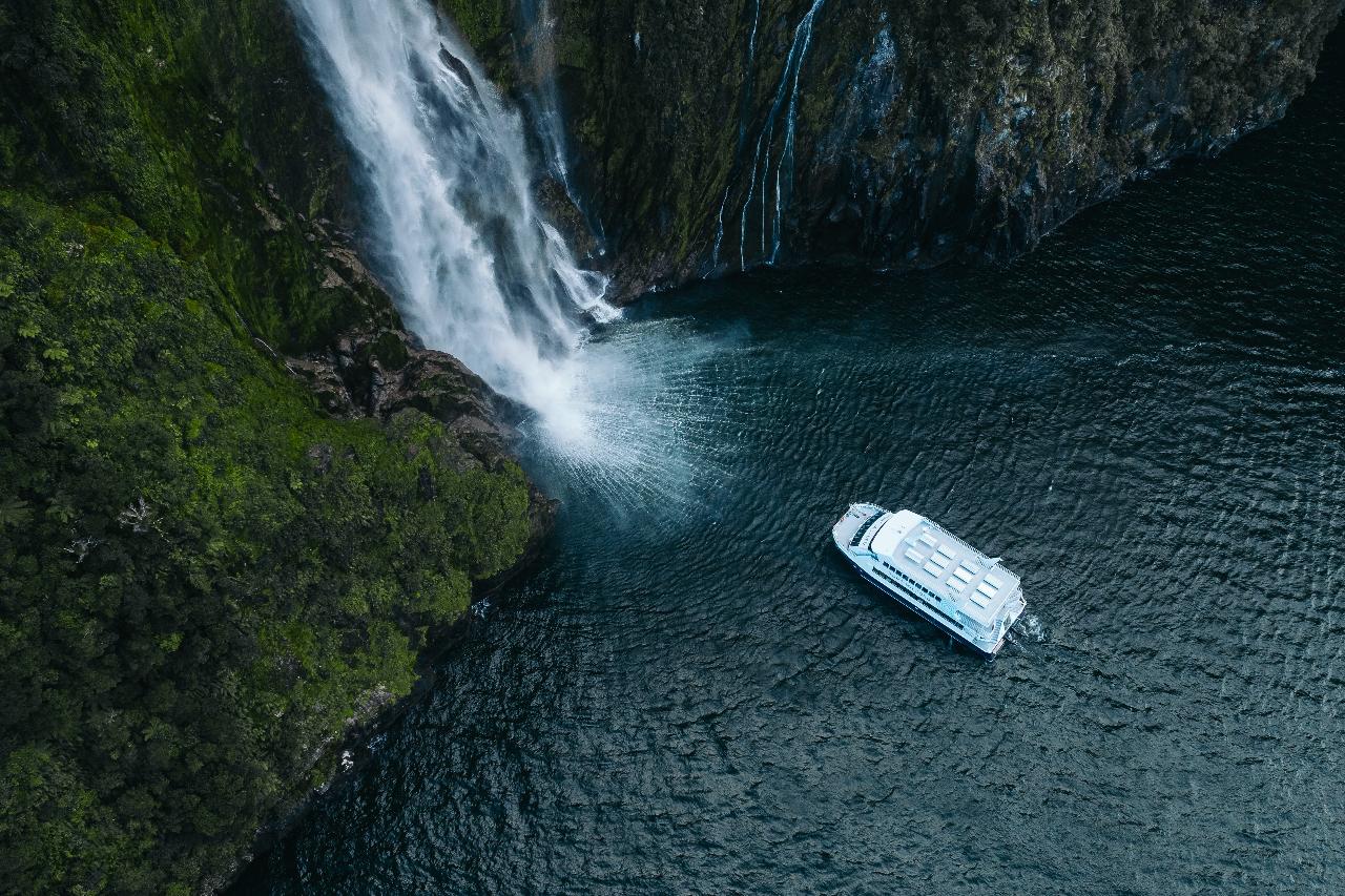 Early Morning Milford Sound Cruise