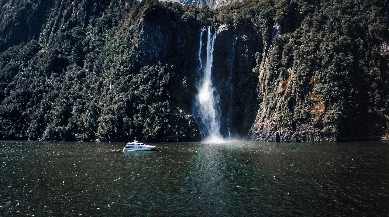 Early Afternoon Milford Sound Cruise