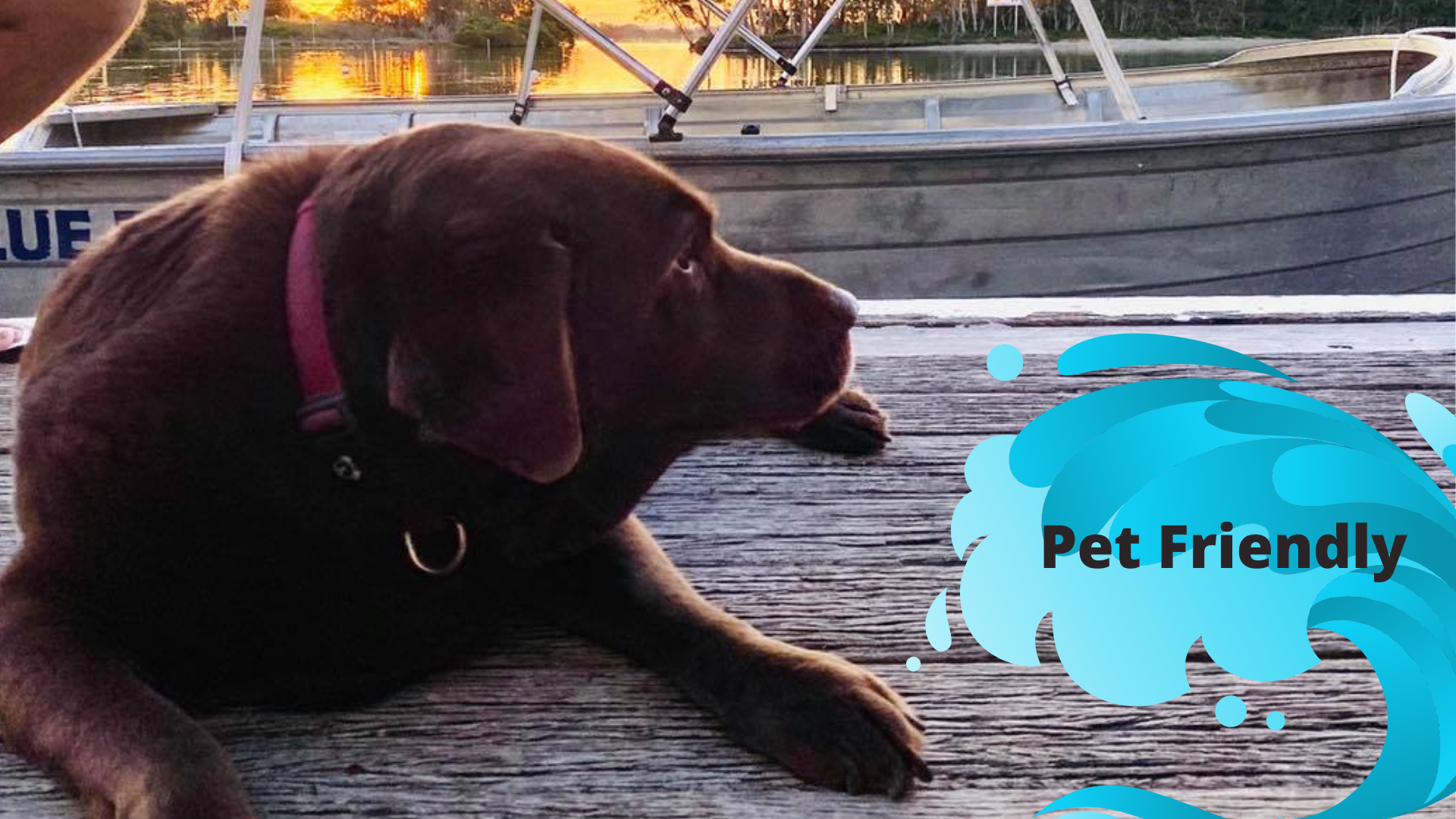 BBQ Party Boat - Sunset Cruise