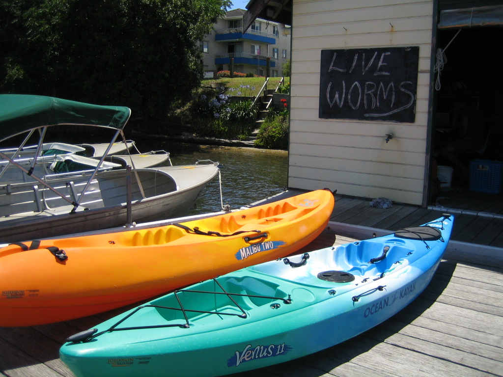 Kayak Hire - Double - Discounted Rate 