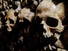 Catacombs of Paris VIP Restricted Access Semi-private Guided Tour