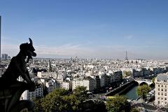 Paris, Notre Dame & the Islands Guided Walking Tour, Private