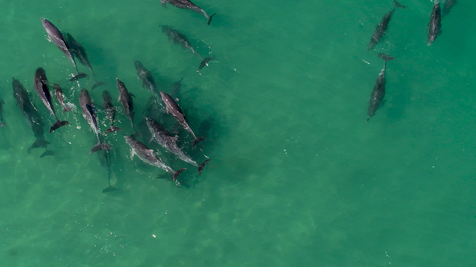 Ancient Dunes and Mallee 4WD Tour