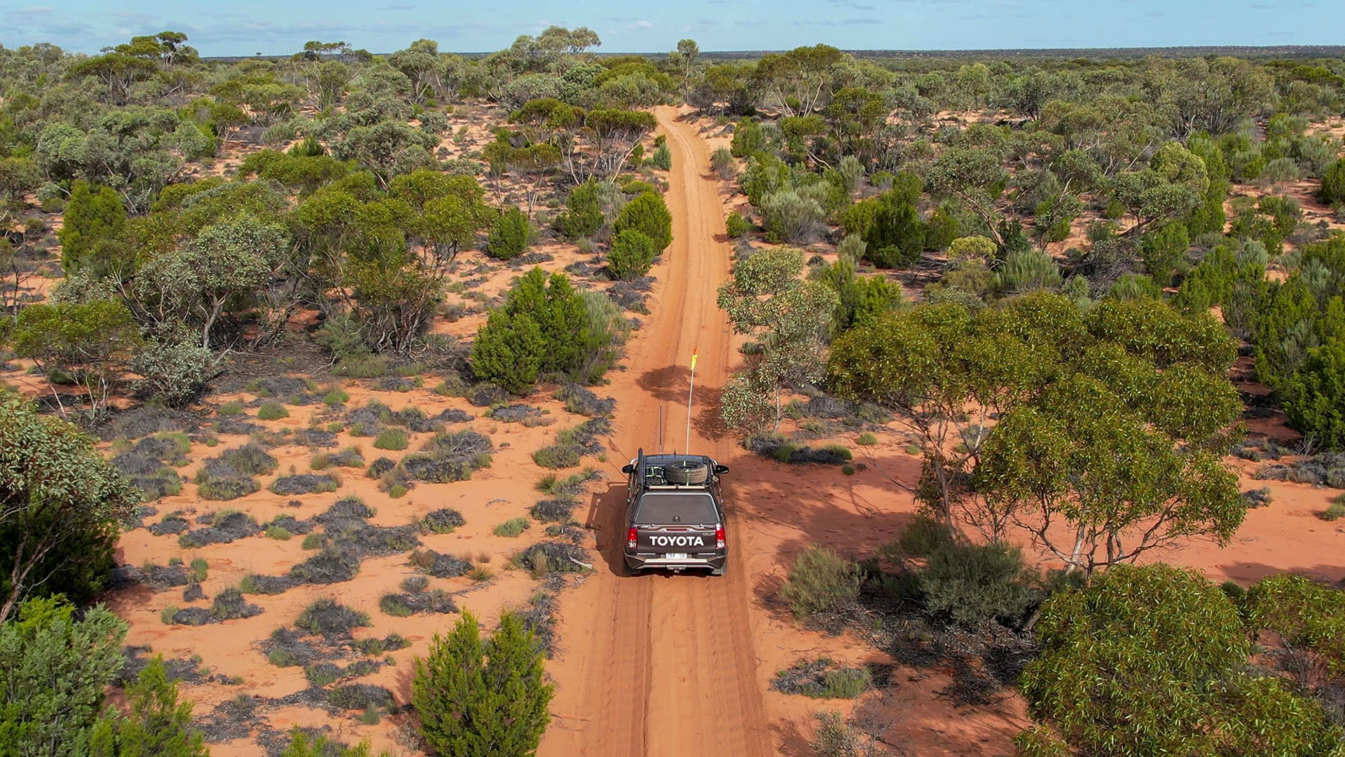 Ancient Dunes and Mallee 4WD Tour