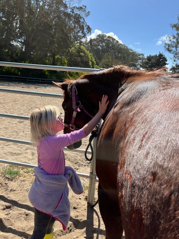 Little Riders