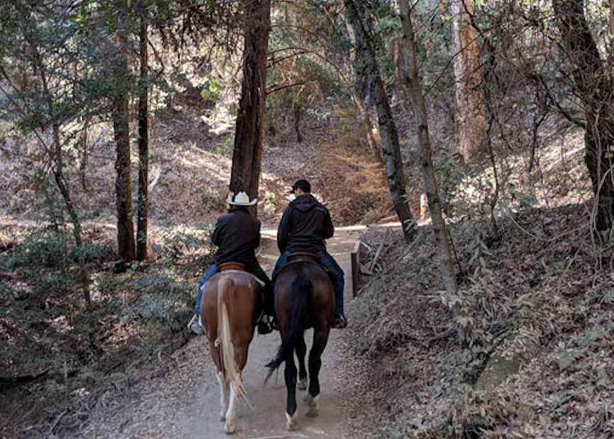 Valentine’s Day Private 30 minute Trail Ride 