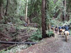30 Minute Trail Ride - Wunderlich Park ***CURENTLY NOT AVAILABLE***