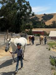 Leasing and Horse Ownership Class 