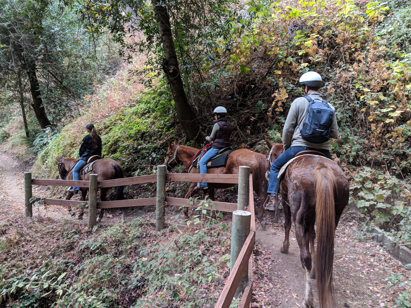 60 Minute Trail Ride - Wunderlich Park