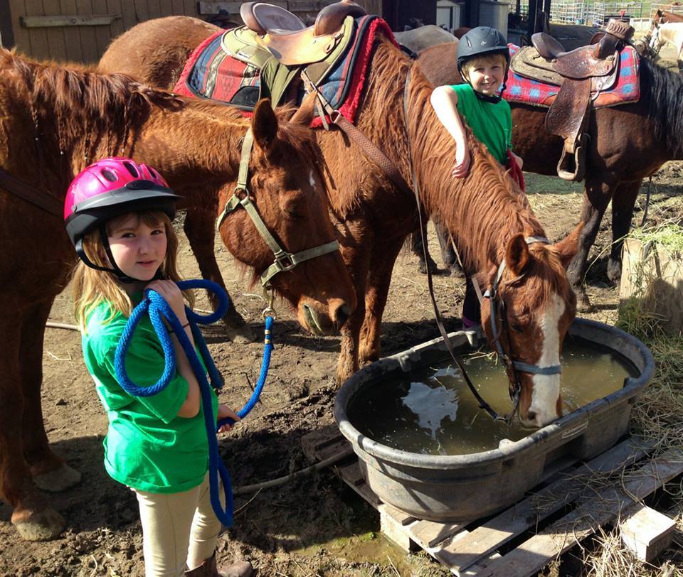  Junior Horseback Riding Badge - Girl Scouts and Boy Scouts 