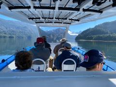 Volcanic Coastline Cruise and Eagle River Estuary Walk