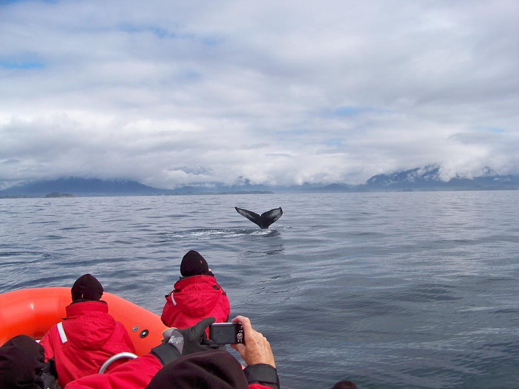 Nature of Alaska by Ocean Raft and ATV